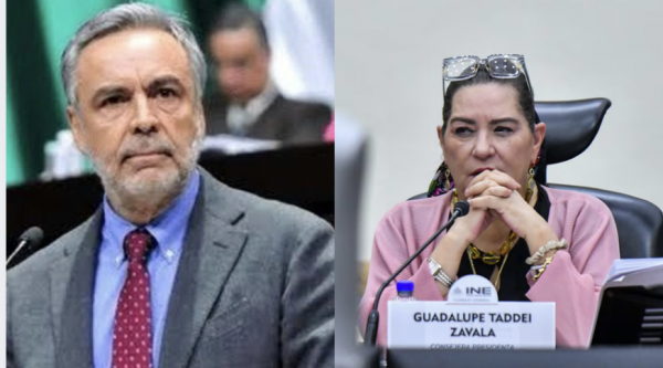 Alfonso Ramírez Cuéllar pide cárcel para Guadalupe Taddei: ‘Deben fincarle responsabilidades’